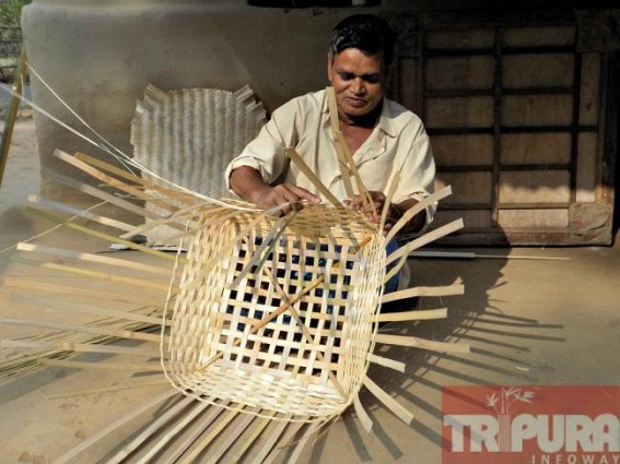Dark future of Tripuraâ€™s bamboo cultivation : bamboo-workers living in poverty 